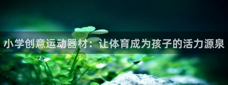 意昂体育5(KGAME)招商电话地址：小学创意运动器材：让体
