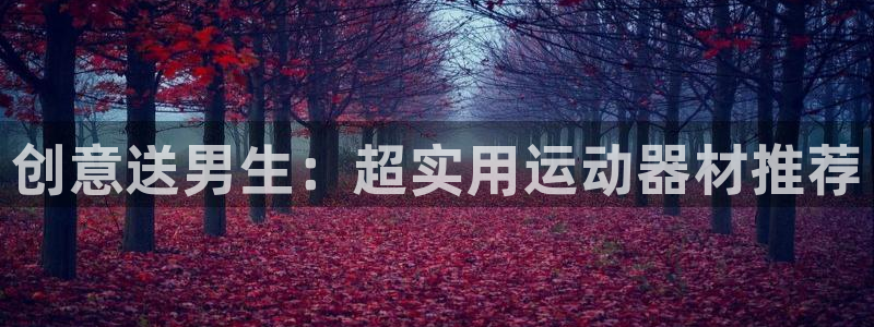 意昂平台体育：创意送男生：超实用运动器材推荐