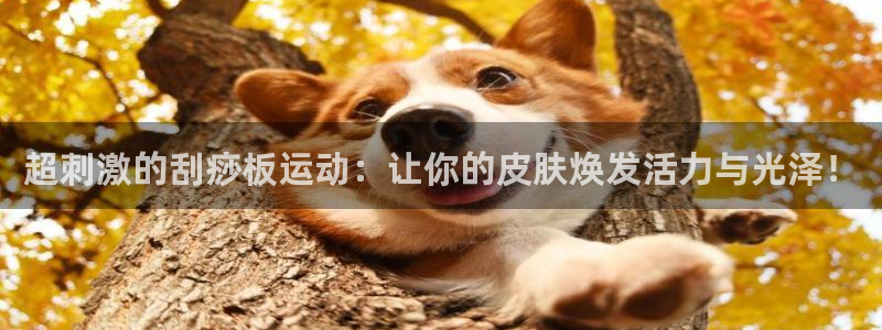 意昂体育5(KGAME)平台假的吗是真的吗吗：超刺激的刮痧板