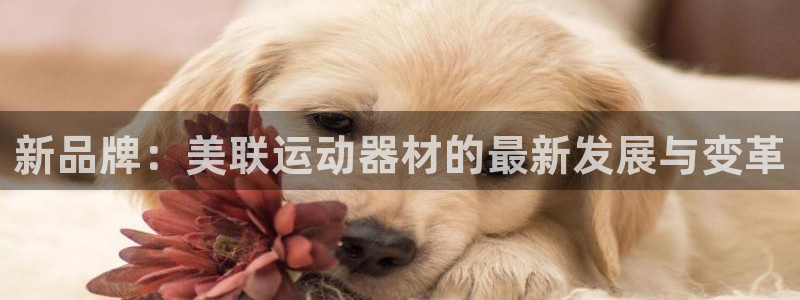 意昂5(KGAME)开户：新品牌：美联运动器材的最新