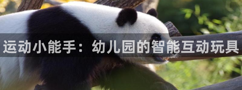 意昂5(KGAME)科技：运动小能手：幼儿园的智能互动玩具