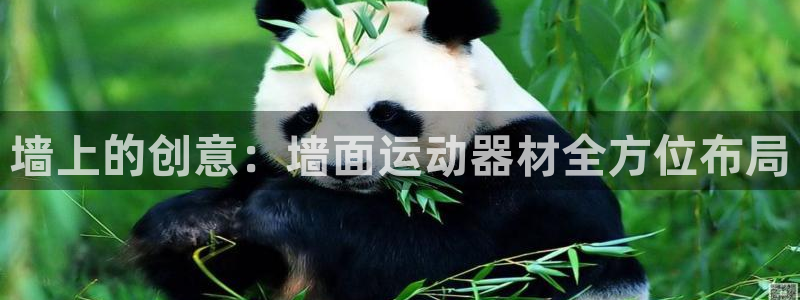 意昂5(KGAME)新能源：墙上的创意：墙面运动器材全方位布