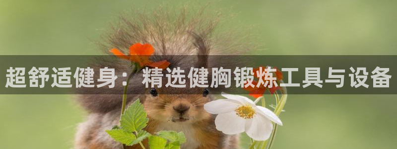 意昂5(KGAME)娱乐是那个系列的台子