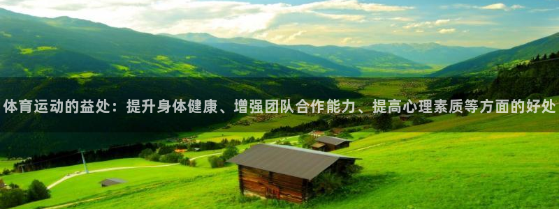熊猫体育平台官网