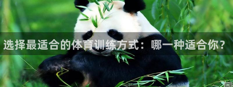 中山熊猫体育