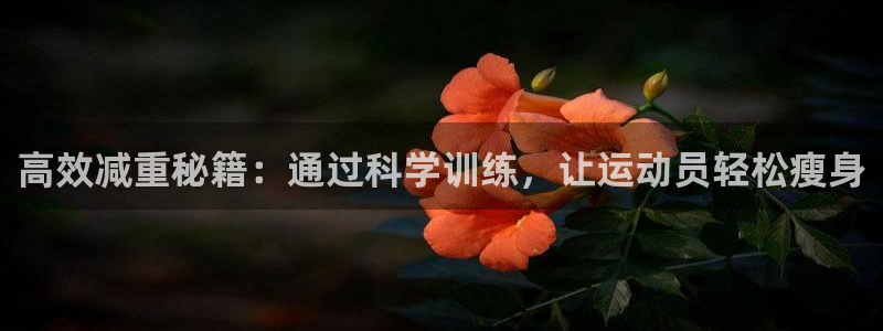 熊猫体育网站