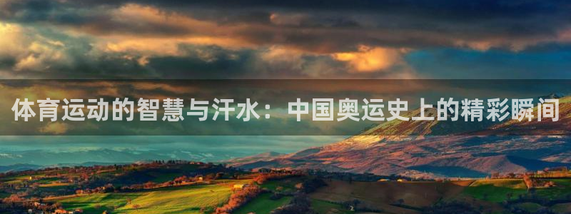 熊猫体育文化有限公司
