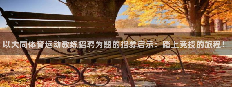 熊猫体育文化有限公司