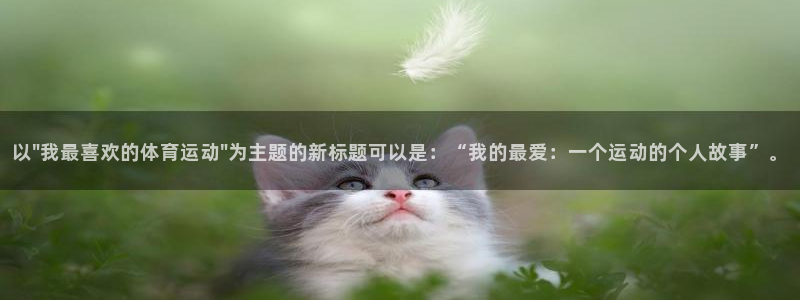 中山熊猫体育