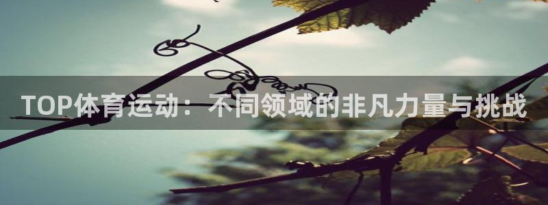 熊猫体育文化有限公司