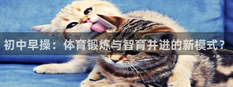 熊猫体育v3.新网页.org