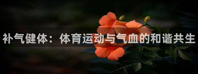 熊猫体育在线观看