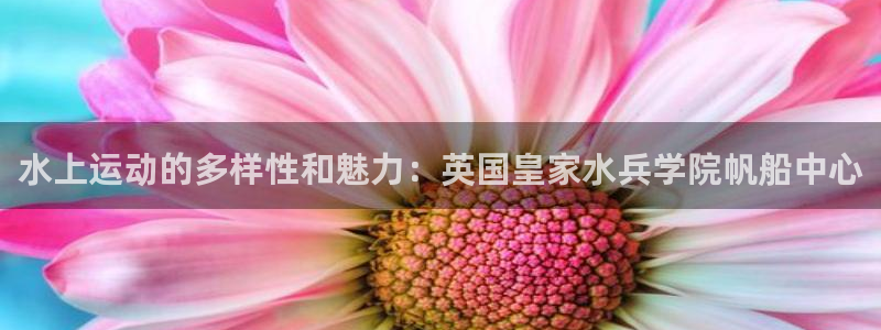 熊猫体育公园