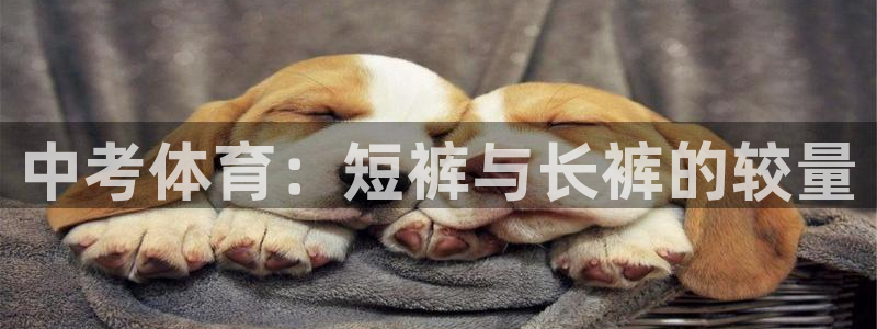 熊猫体育平台官网