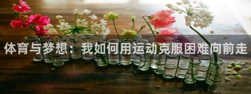 动感熊猫体育公园