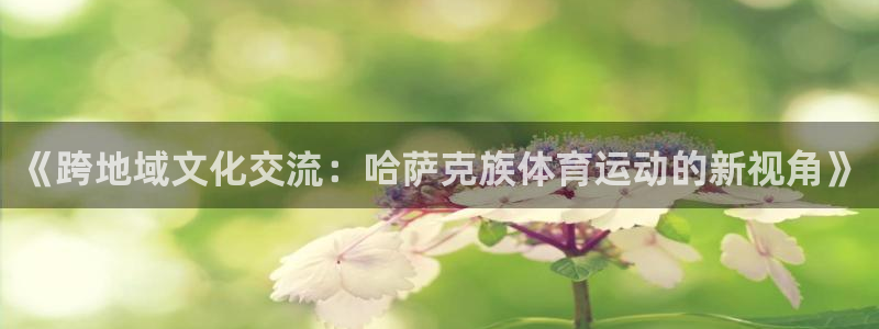 动感熊猫体育公园