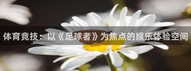 熊猫体育网址